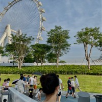 陈思瑶