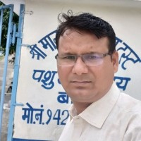 Ashok Kumar Prajapati
