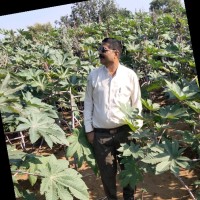 vipul raval