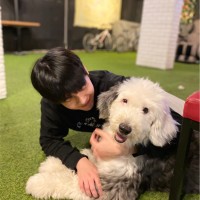 김찬혁