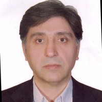 Ebrahim Afjei