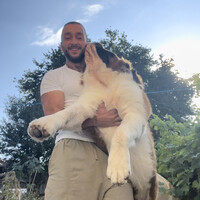 Tolga Ozkan