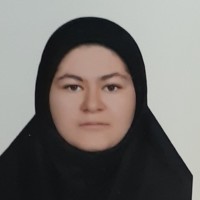 Sonia Mirzaei