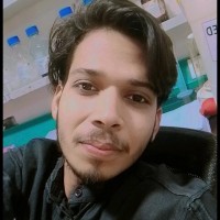 MD SHAQUIB HUSSAIN
