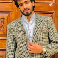 Syed mehdi ul Hassan