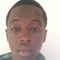 Michael Papa Kwesi Botse-Baidoo