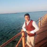 Mohamed Alashker