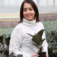 MaryJane Schermer