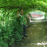 康美时