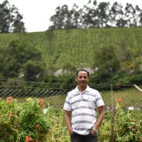 jayprakash yadav