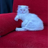 Kadir Oduncu