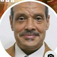 Elsayed Mohamed