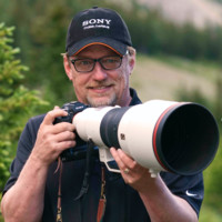 Stuart Dryden