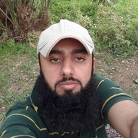M Ghamdi