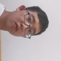 王震华