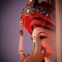 Dhara Kamdar