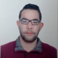 Dridi Wassim
