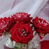 Raad Alsmaa