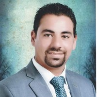 alaa mahmoud