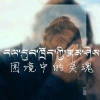 旦增曲达