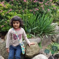 Uzma Hanif