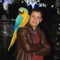 Mohab Abdeldayem