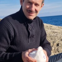 Gianluca Bertelli