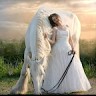 Carol Sohail