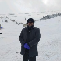 Hani Alsmiri