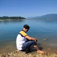 Ankit M
