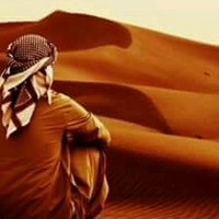 محمد أمين مولوج