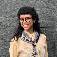 Luise Araujo Thomaz Da Silva