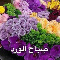 يحيى متولى