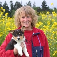 Pat Powell