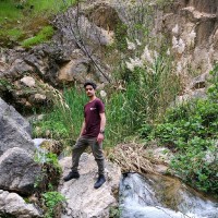 Mohammad Sadegh Rafiee