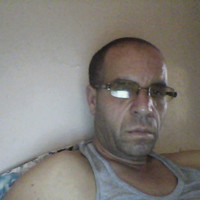 Amis Anis