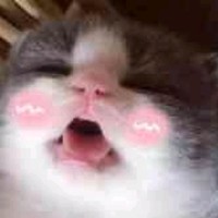 陈广乐