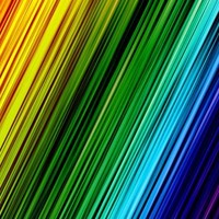 ياسر وحيد الجيزاوى