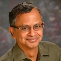 Palamadi (Vish) Vishwanath