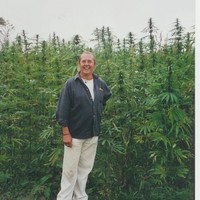 STEPHEN DANKS