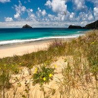 carla stanley ( MBACP )