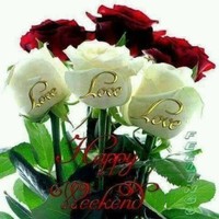 habib Shah