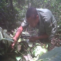 Emmanuel Bassey