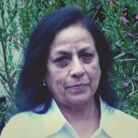 Vijay Kaul