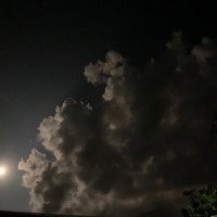 Manaswini Suryadevara