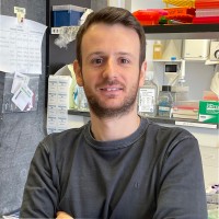 Nicola De Prisco, Phd