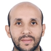 Wael Shehata