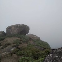 Murugan T