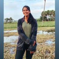 Cheedella Srikala
