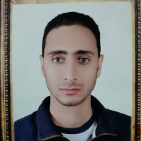 Alaa Elshetiwy